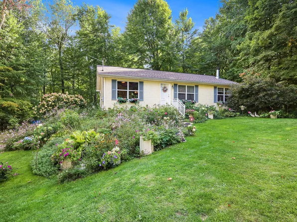 10050 Walander St, Sand Lake, MI 49343