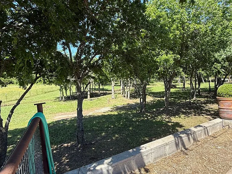 8033 Lax Dr — Photo 11