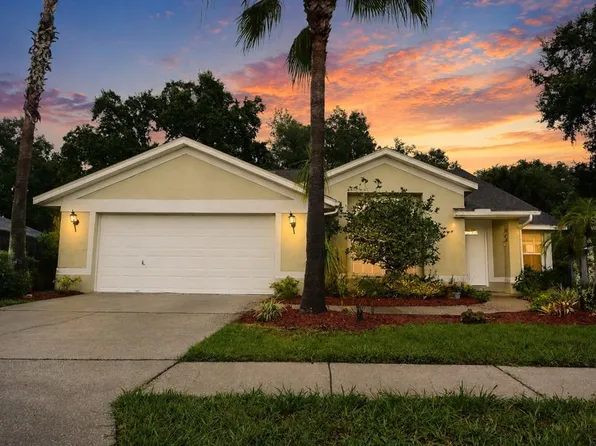 24449 Painter Dr, Land O Lakes, FL 34639