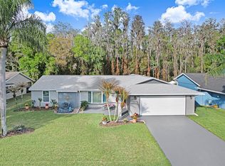 509 Lakeview Dr, Oldsmar, FL 34677