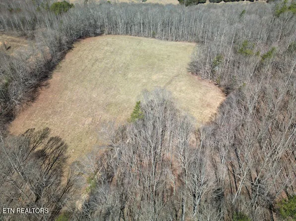 303 Tar Town Hollow Ln, La Follette, TN 37766