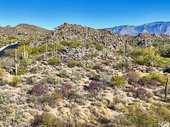4th image of 1138 Tortolita Mountain Cir #234