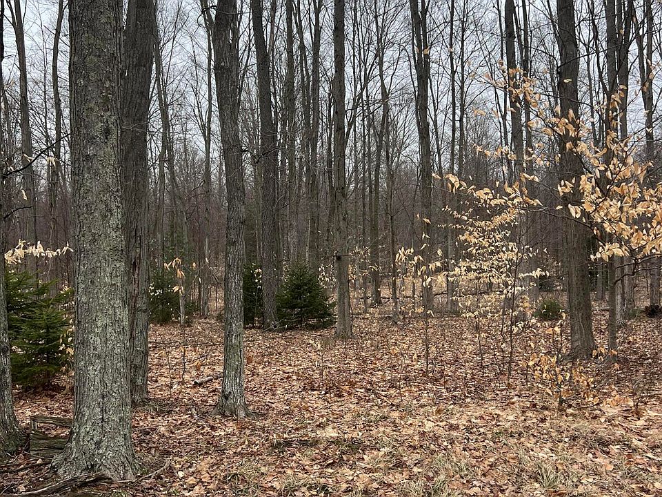 1st image of N Dennis Rd