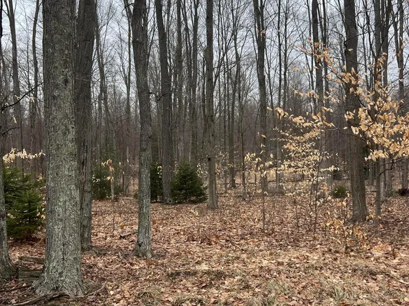 N Dennis Rd, Ludington, MI 49431