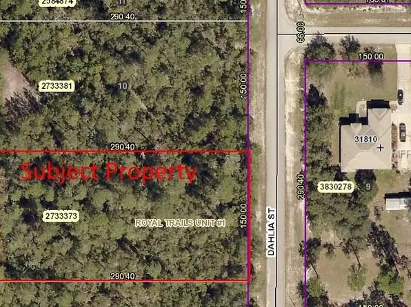 Dahlia St, Eustis, FL 32736