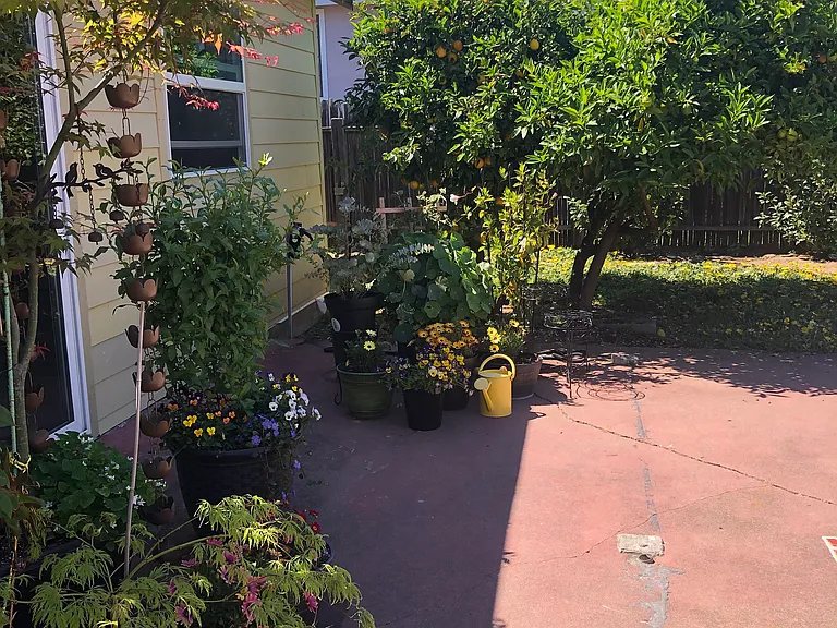 Oak Grove Ave — Photo 2
