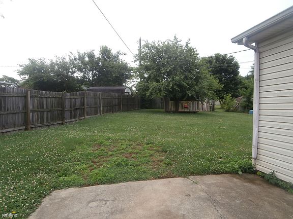 501-503 Hickory Rd Back Yard