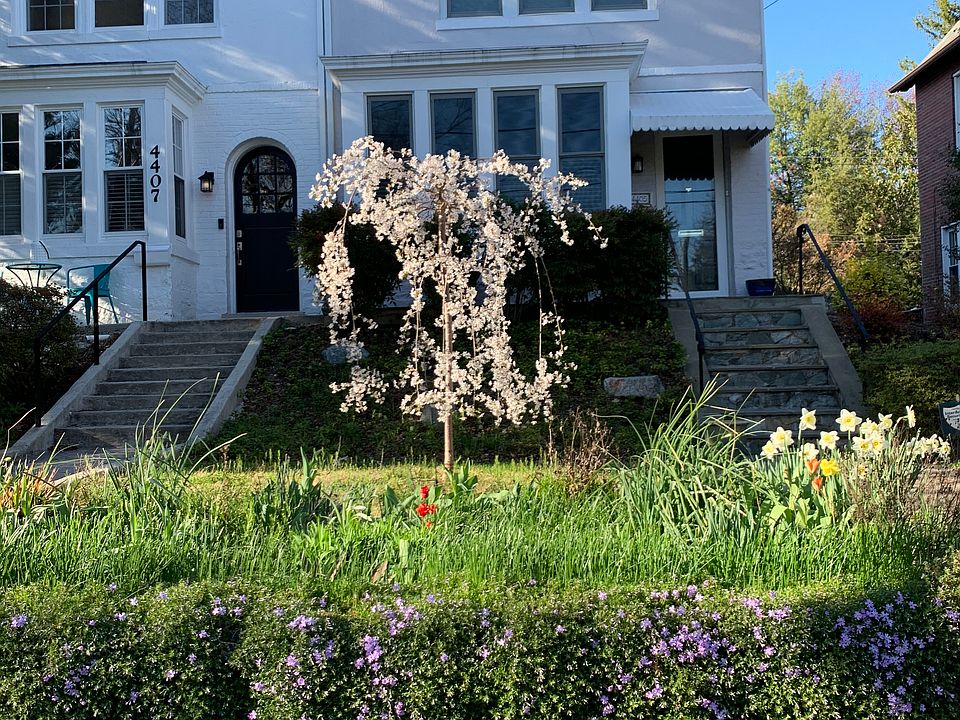 Beautiful spring time