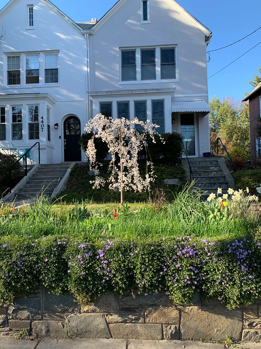 4405 Fessenden St NW photo 1