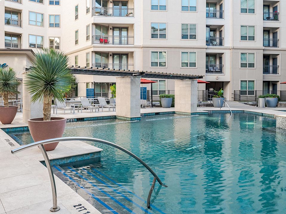 Contemporary Poolside Courtyard with Palms and Shaded Loungers