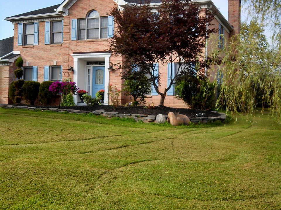 Large 1/2 acre lot !