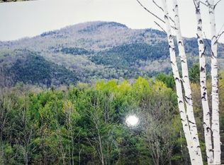 0 Cameron Rd, Athol, NY 12810