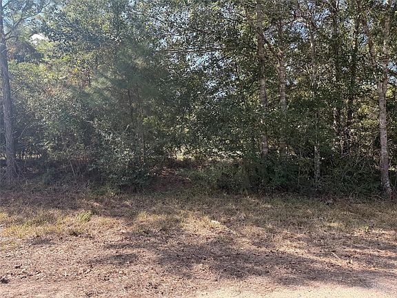 4th image of Deer Trl