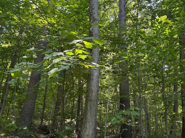 Upper Plains Road, Salisbury, VT 05769