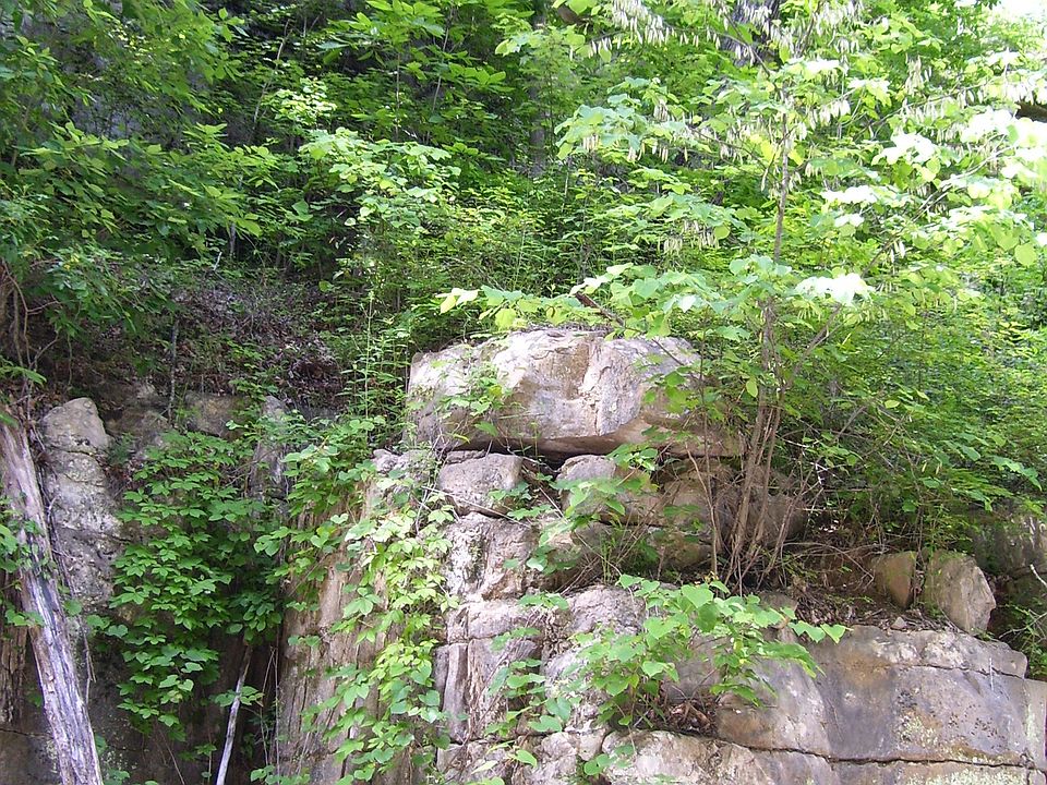 1st image of 14085 Peach Stone Ln