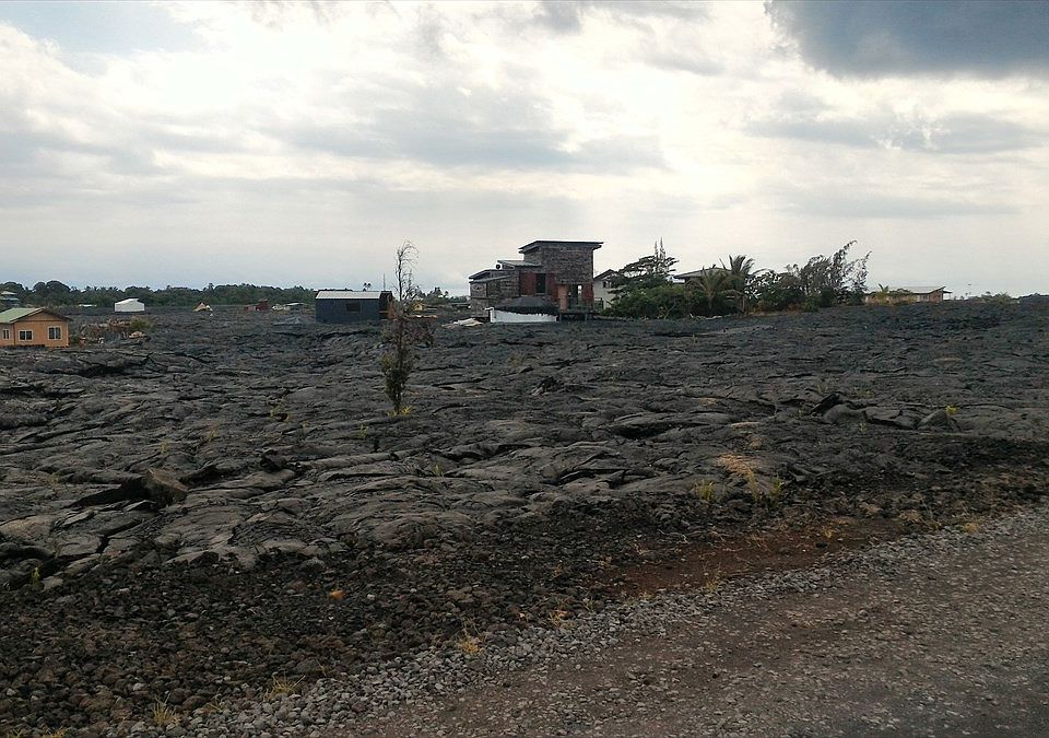 2nd image of LOT 735 Lot 735