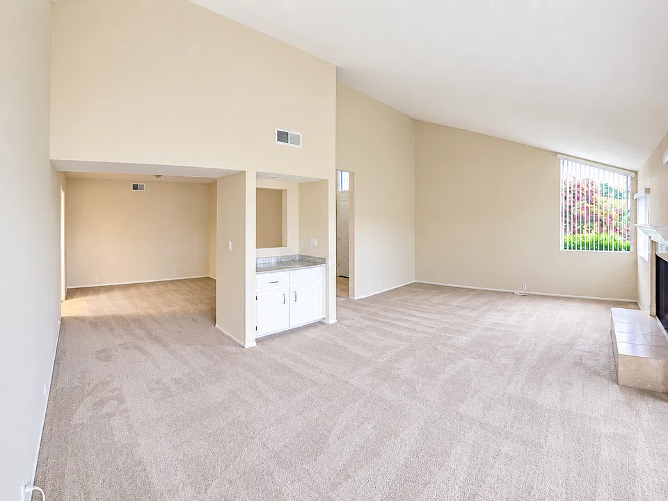 Living Room / Dining Room Area