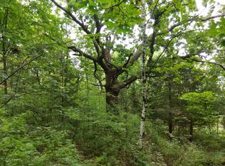 Severson Coulee Rd, Mindoro, WI 54644