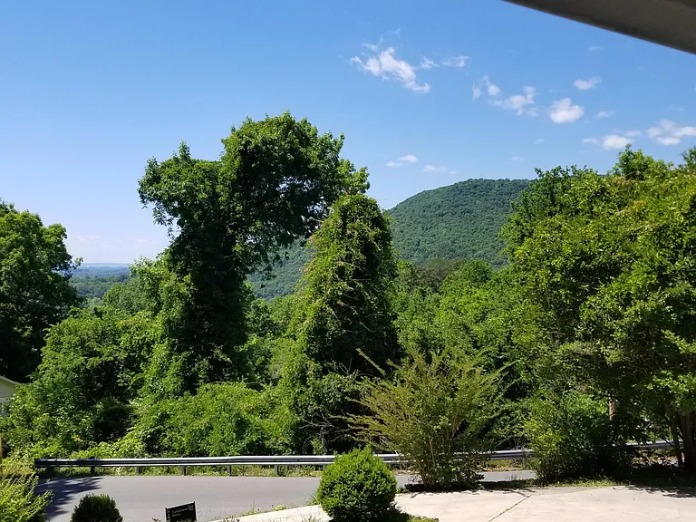 580 Raulstontown Rd — Photo 7