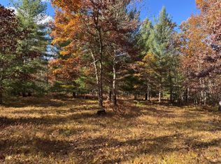 PARCEL 12 E County Line Rd, Free Soil, MI 49411