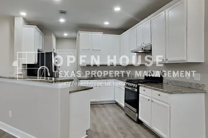 4718 Wild Bluebonnet Way — Photo 5