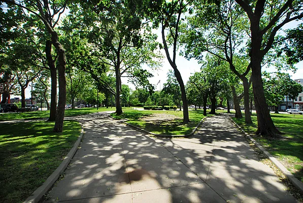 Rented by Brian David Realtors | media 8