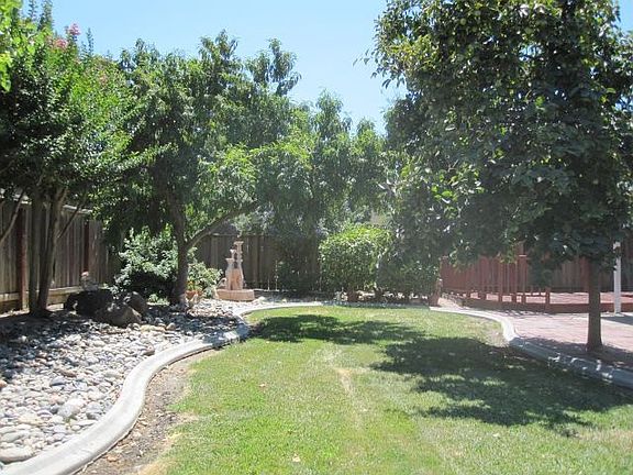 Backyard 1