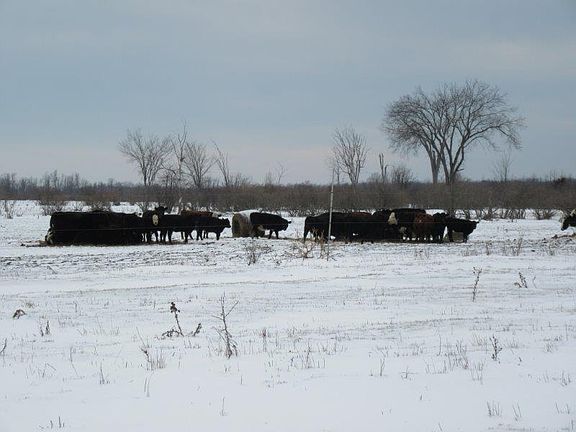 3rd image of 27375 County Route 57