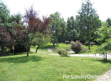 View from patio : Looking east down the driveway from the patio