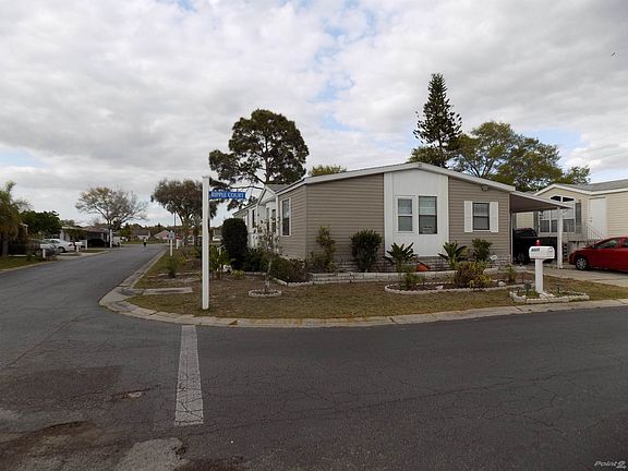 THE CORNER OF WATER LILEY AND RIPPLE