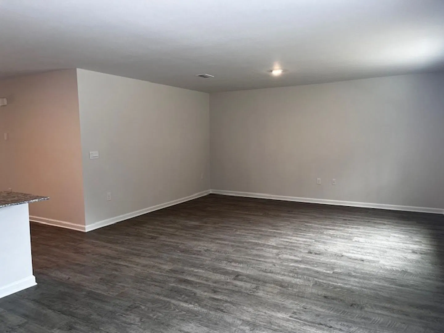 New Construction in Crawfordville — Photo 4
