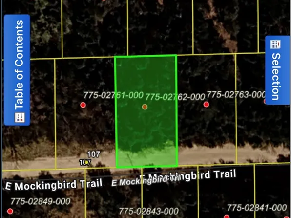 E Mockingbird Trl #6, Lead Hill, AR 72644