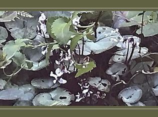 341 Meadow Ave N, Renton, WA 98057