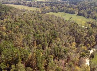 2455 County Road 410, Poplar Bluff, MO 63901