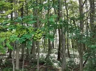 Tract 4 Parcel 2 Tract A Walker Rd, Black Twp, PA 15557