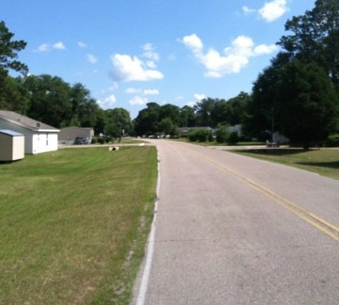 3rd image of 1436 Silver Saddle Dr