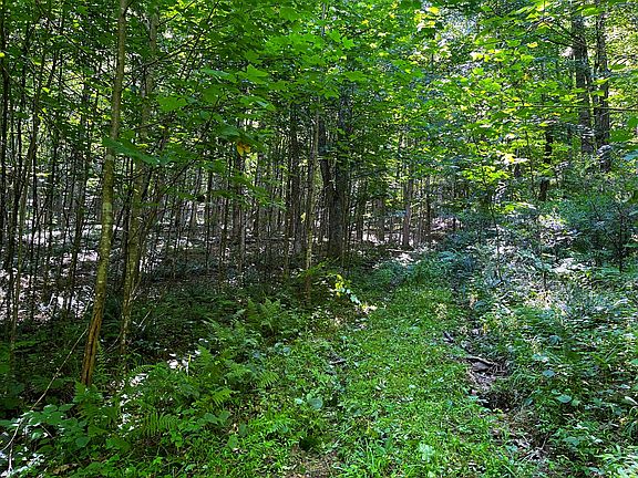 5th image of Leonard Long Rd
