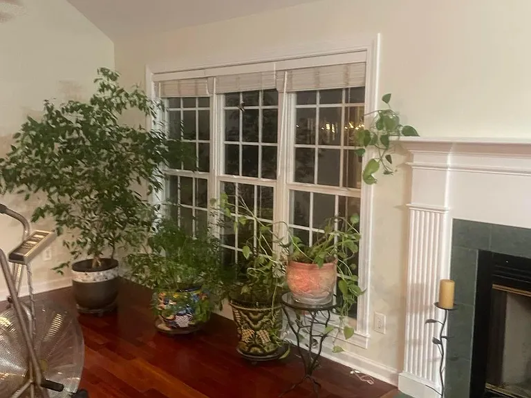 120 Hayfield Ct — Photo 8