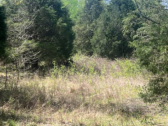 2nd image of 0 Mount Zion Rd