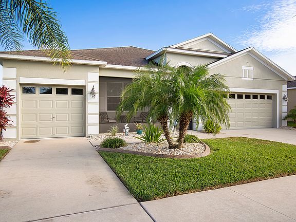 Palm trees and curbing