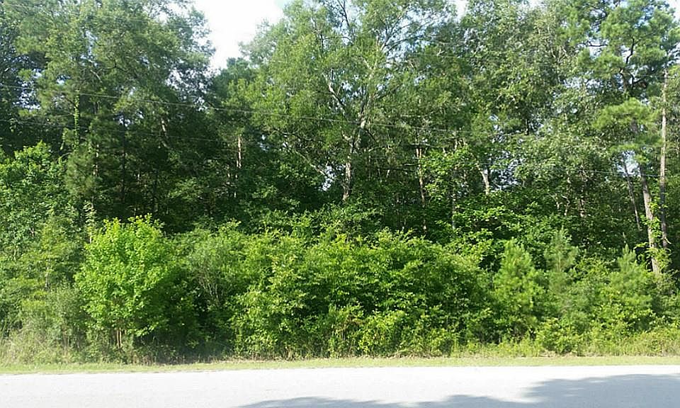 1st image of 23877 Wild Forest Dr