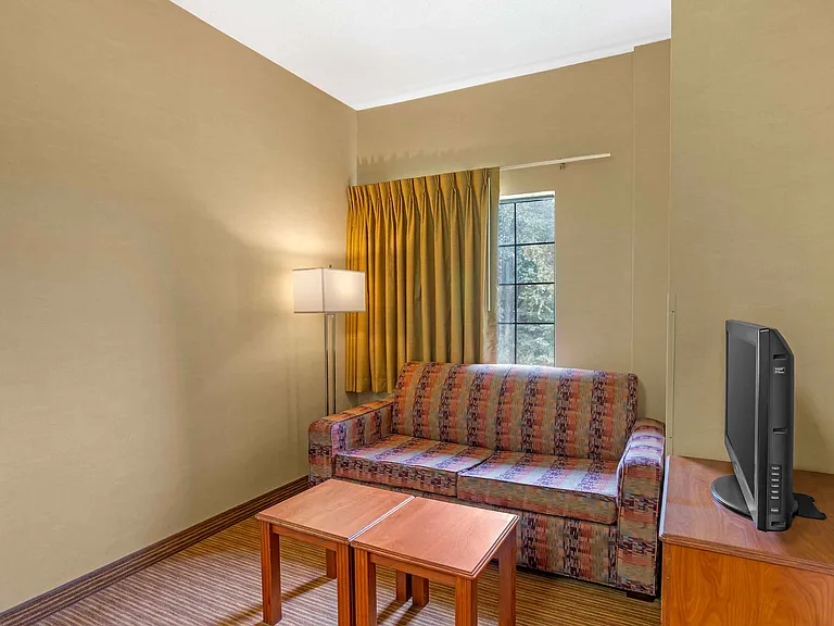 1 Bedroom Suite - 1 Queen Bed