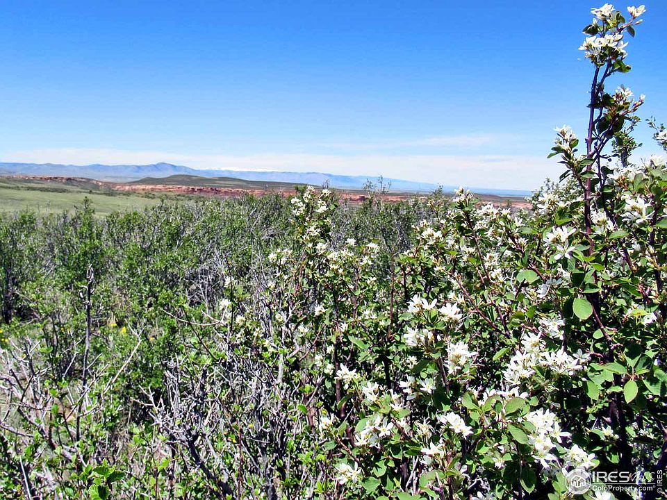 1st image of Tbd Sand Creek Park