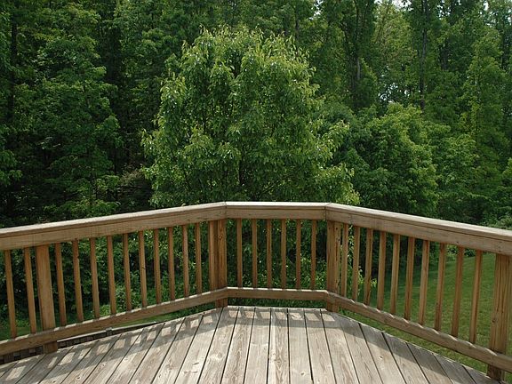 View from Deck