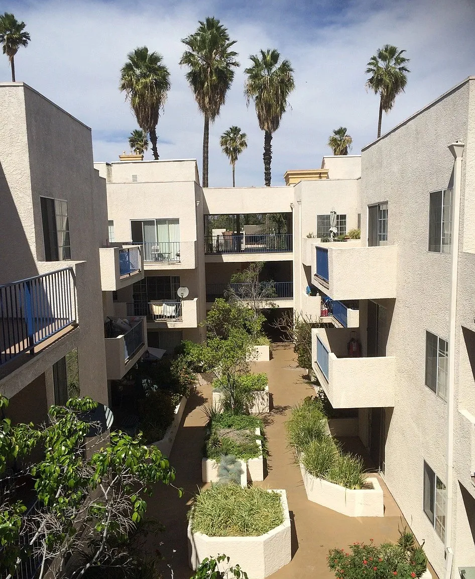 Palm Terrace — Photo 4