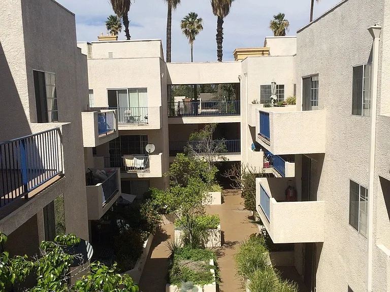 Palm Terrace — Photo 5