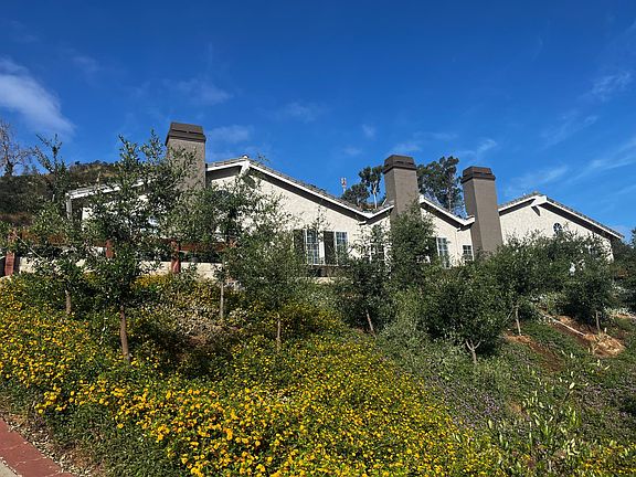 View coming up driveway