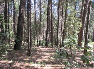 LOT 21 Fremont Way, Oak Run, CA 96069