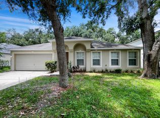 1129 Sea Eagle Ave, Groveland, FL 34736