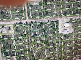 317 Sandpiper St, Lake Placid, FL 33852